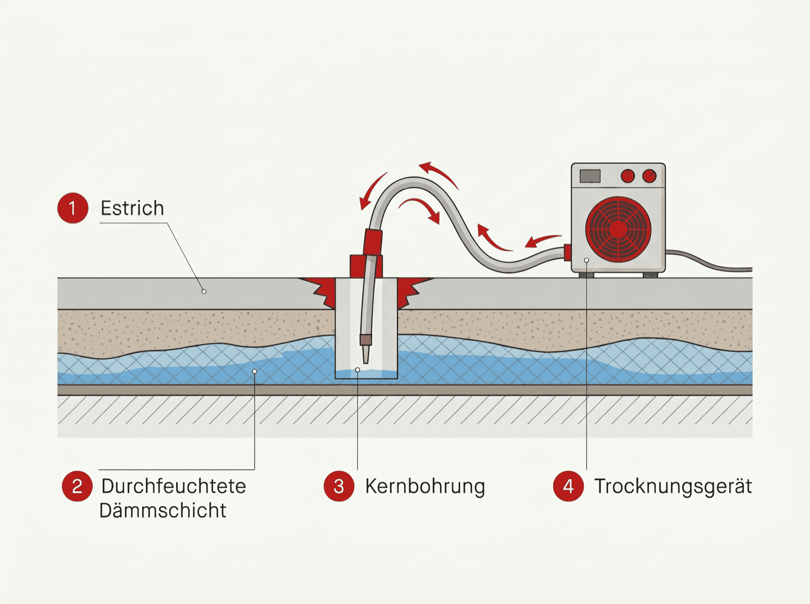 Infografik: Querschnitt eines Fußbodenaufbaus mit Kernbohrung, Trocknungsgerät und Luftführung durch die Dämmschicht im Unterdruckverfahren