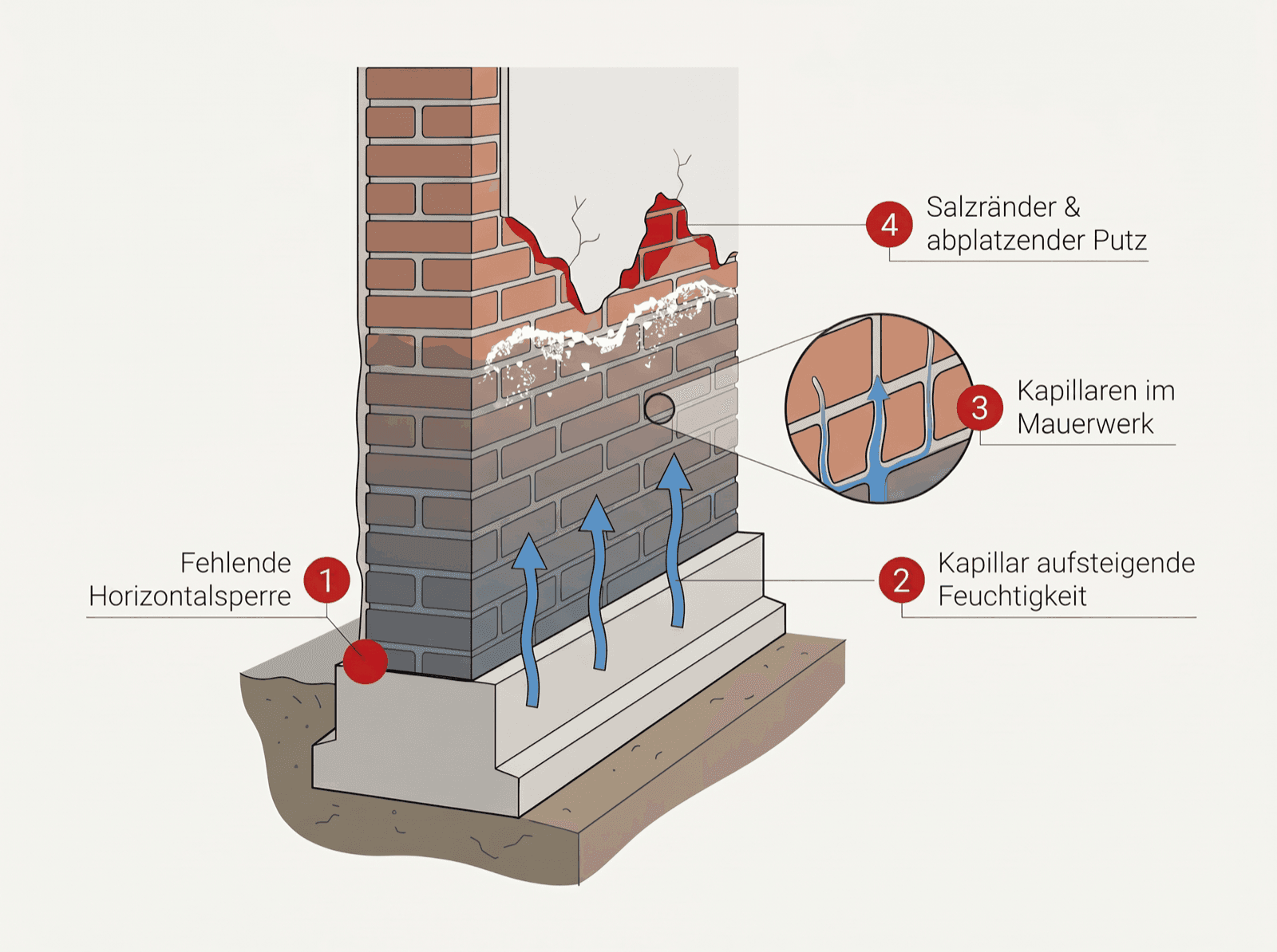 Infografik: Kapillar aufsteigende Feuchtigkeit in einer Altbauwand ohne Horizontalsperre