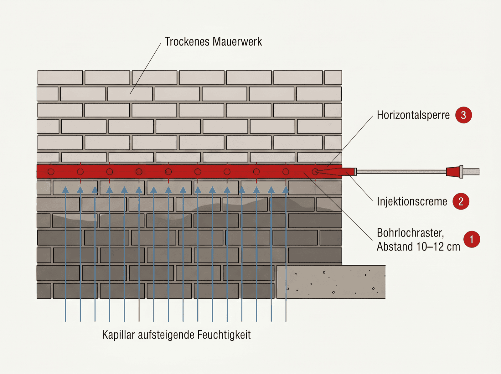 Infografik: Querschnitt eines Ziegelmauerwerks mit Bohrlochraster, Injektion von Injektionscreme und horizontaler Sperrschicht gegen aufsteigende Feuchtigkeit