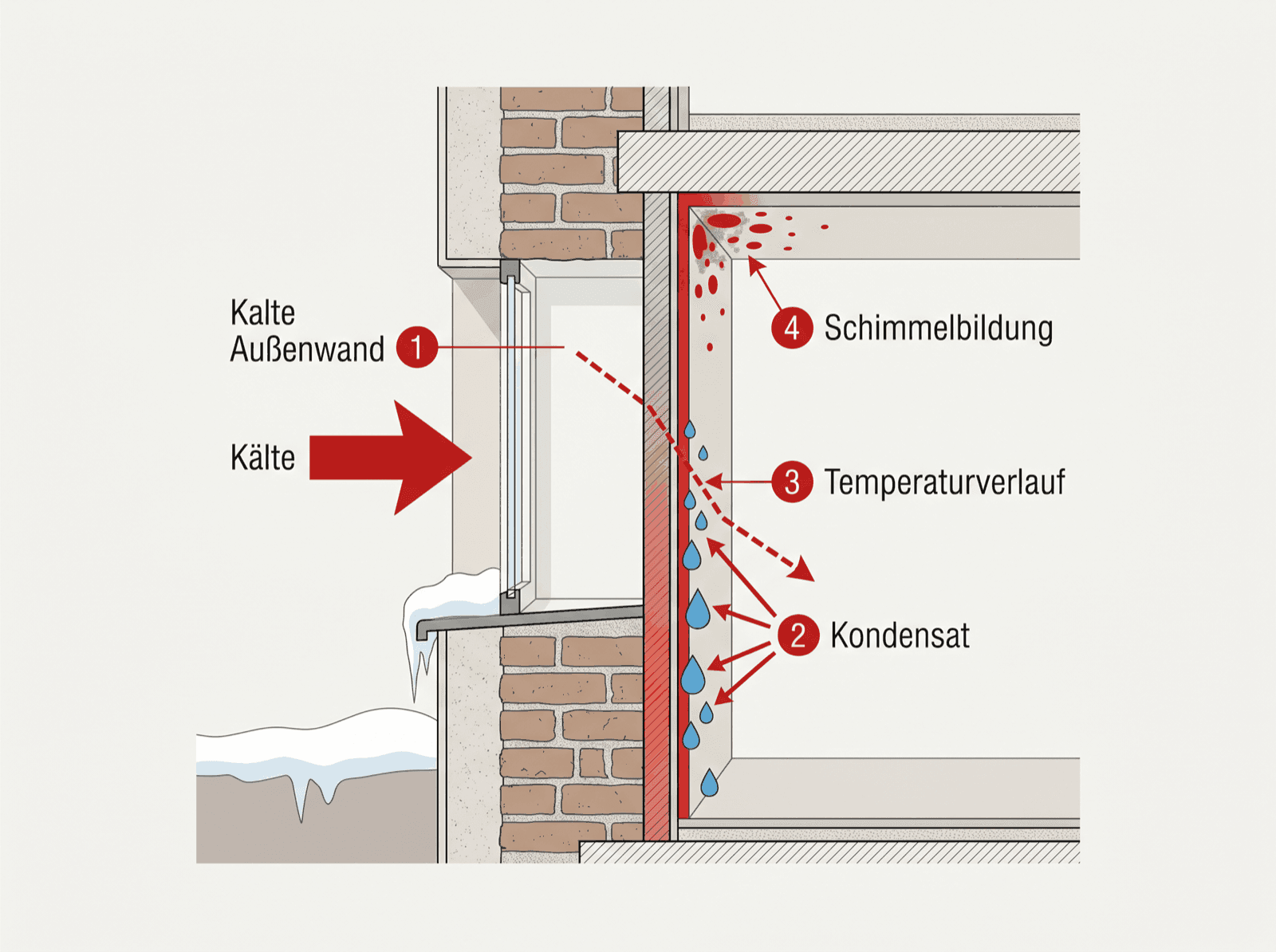 Infografik: Warme Raumluft kondensiert an einer kalten, ungedämmten Außenwand am Taupunkt und begünstigt Schimmel